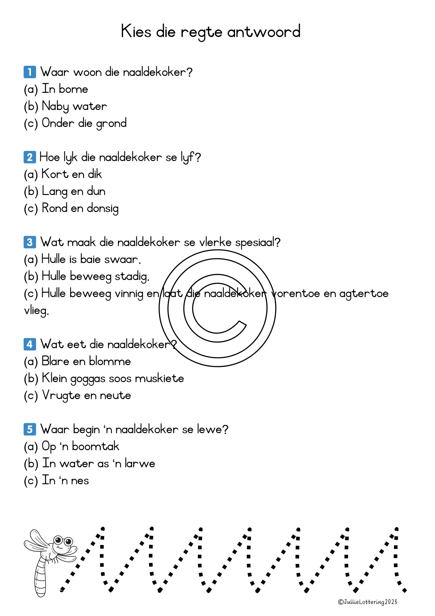 Begripslees: Naaldekoker – Graad 1–3 – Afrikaans (Drukbare PDF)