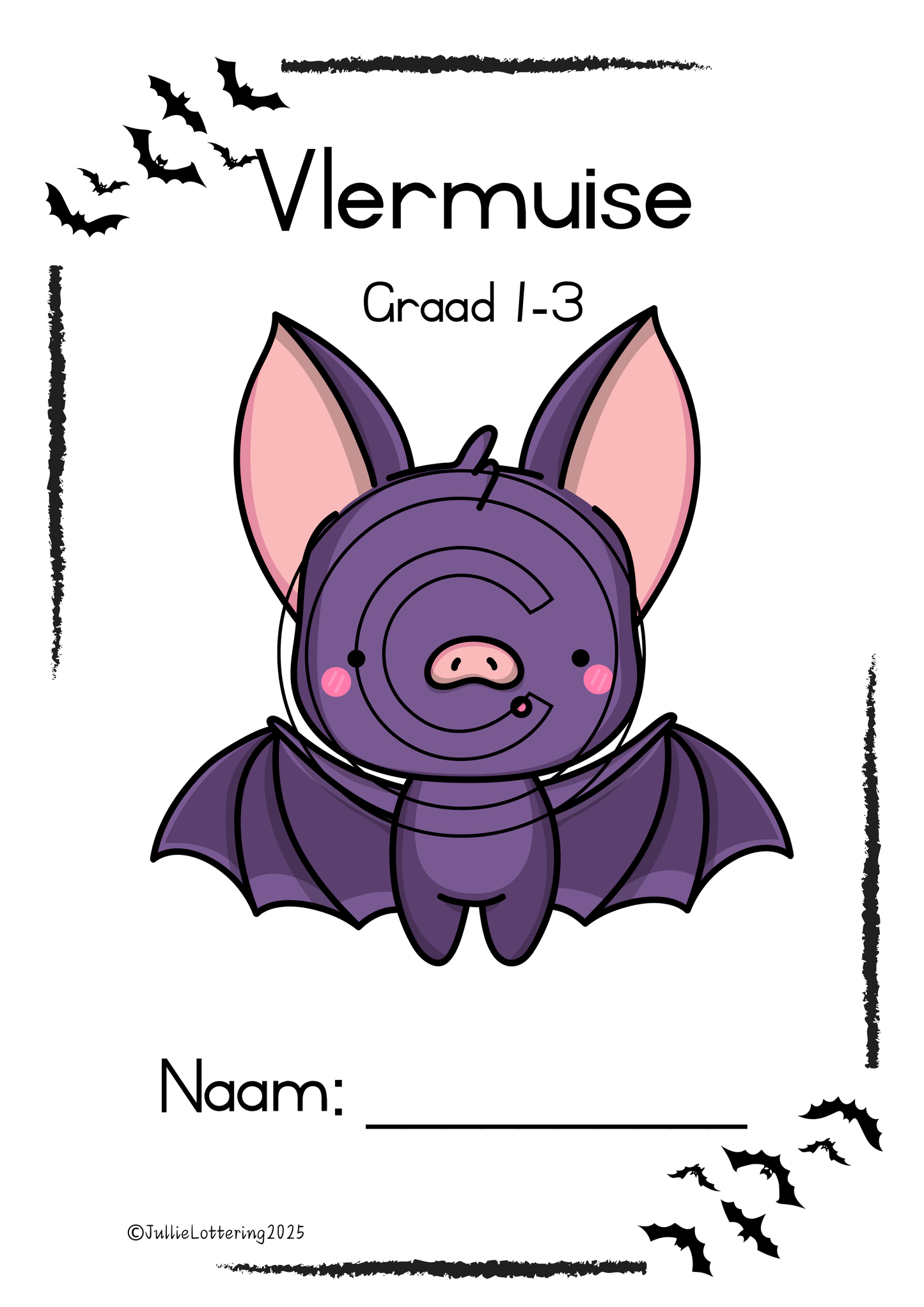 Feite oor Vlermuise (Begripslees)