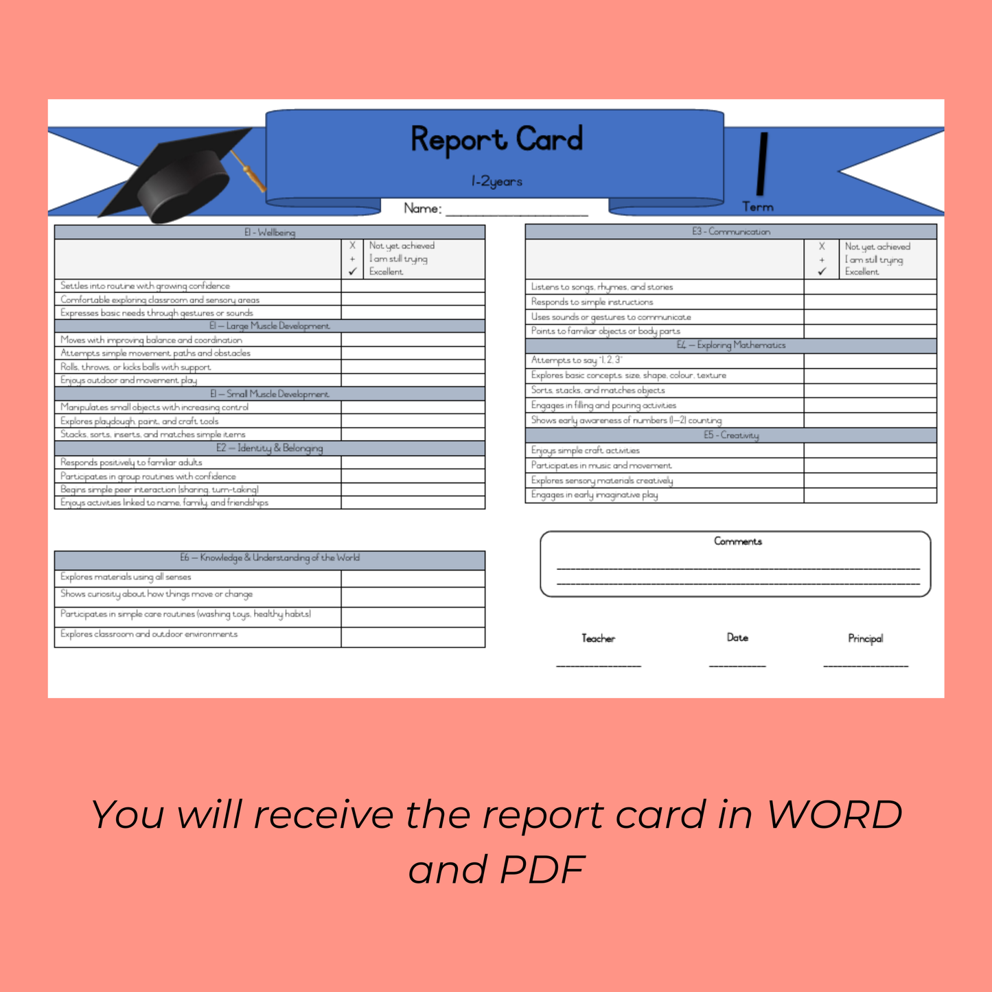 Term 1 Mega Bundle (2026) – 1–5 Years | ELDA-Aligned Lesson Plans, Workbooks & Reports