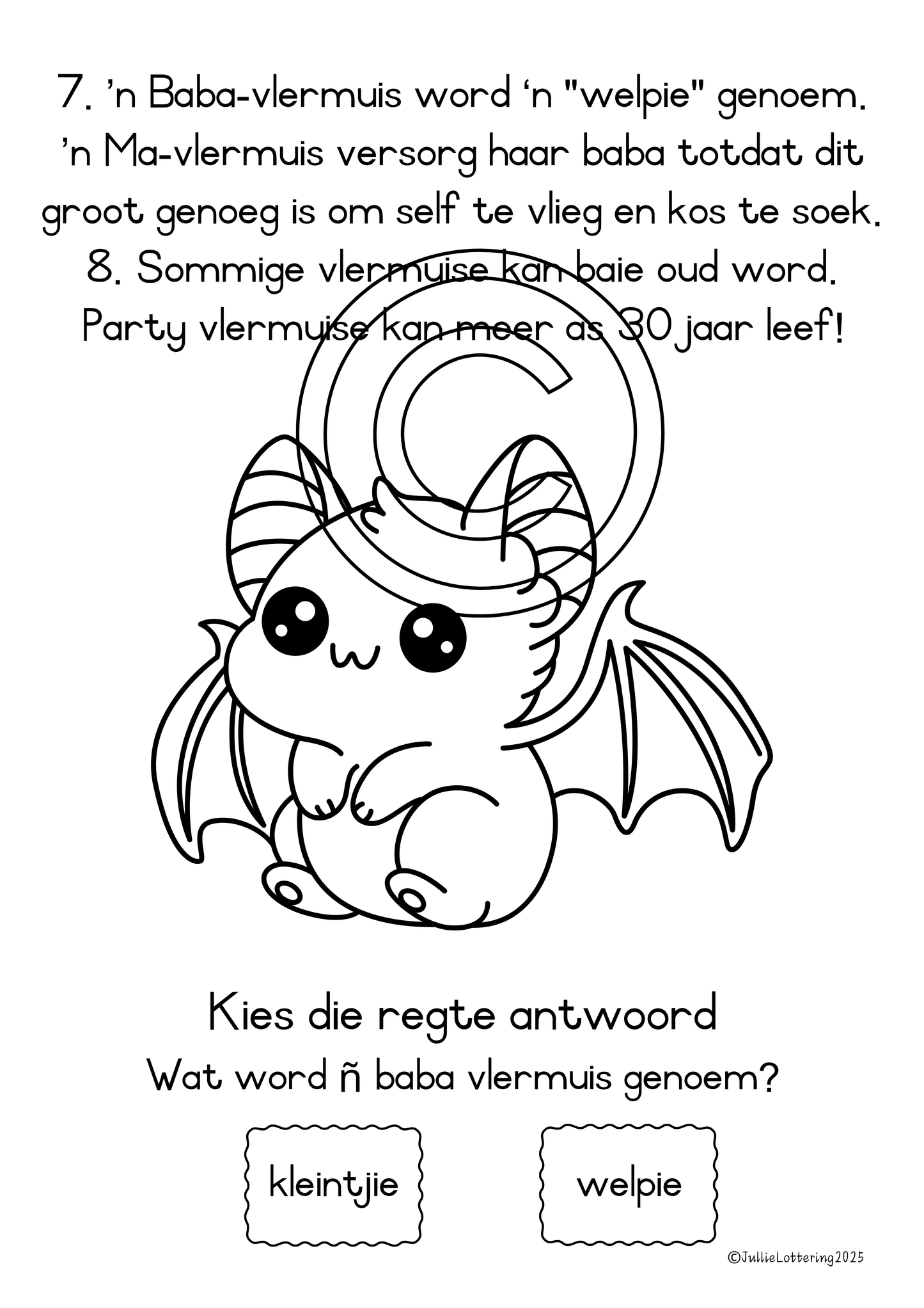 Feite oor Vlermuise (Begripslees)