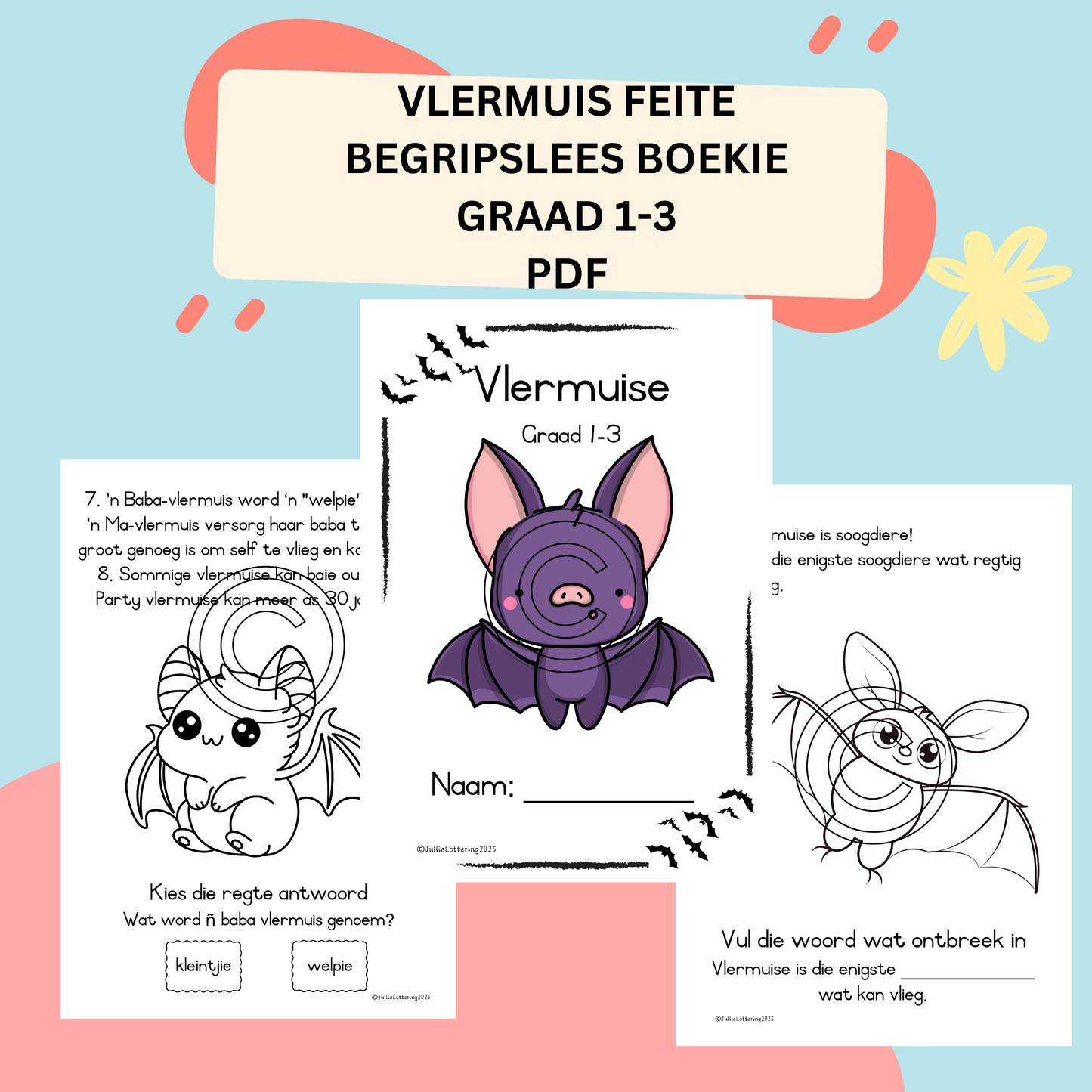 Feite oor Vlermuise (Begripslees)
