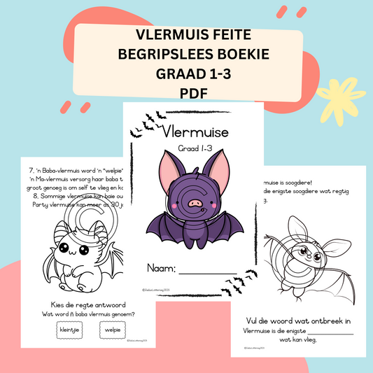 Feite oor Vlermuise (Begripslees)
