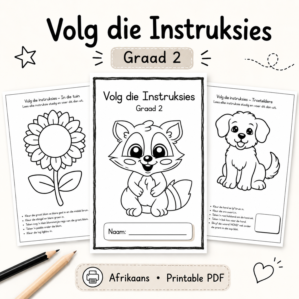 Graad 2 Volg-die-Instruksies Werkboek (PDF – 15 Bladsye)