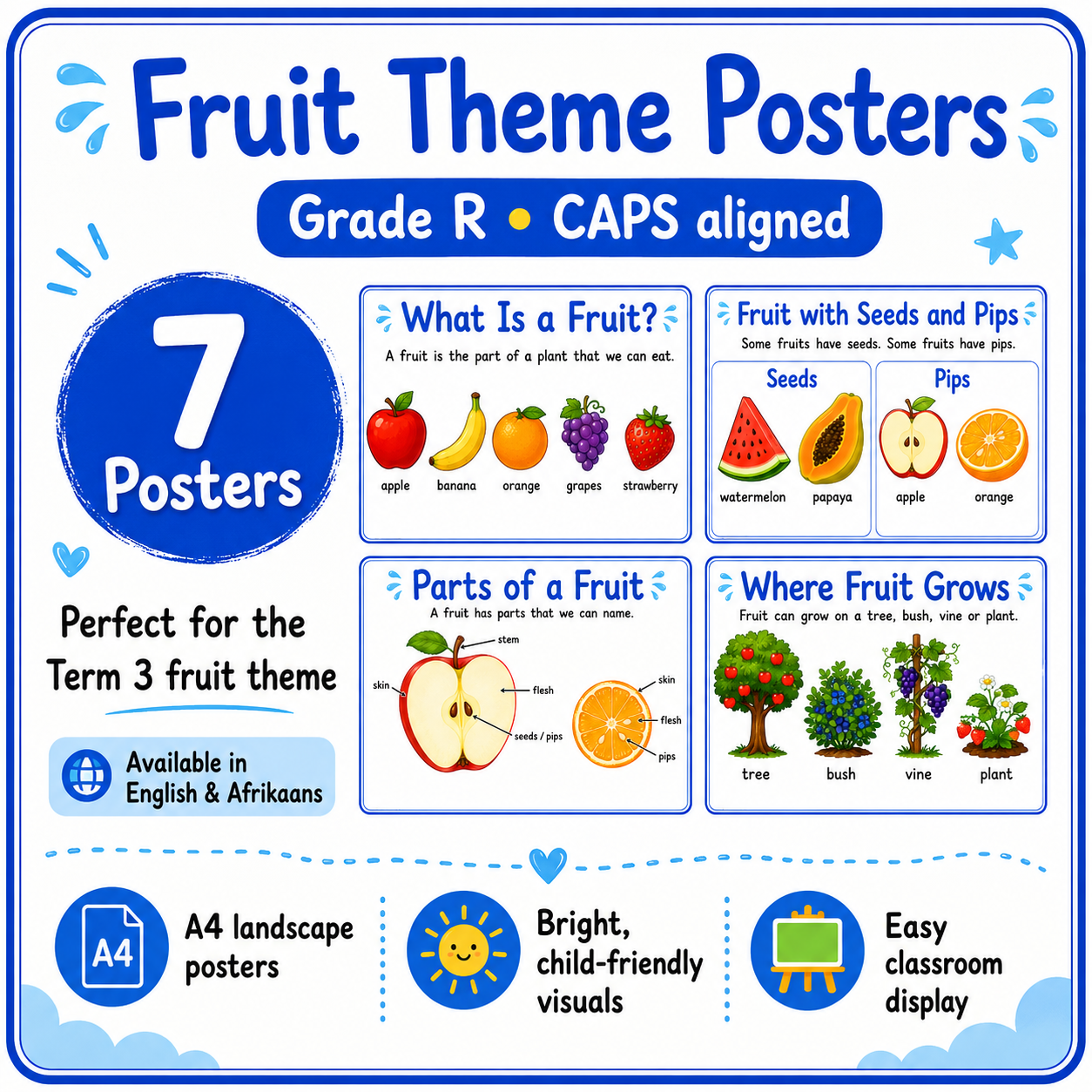 Grade R Term 3 Theme Posters – English | 70+ A4 Landscape Wall Charts