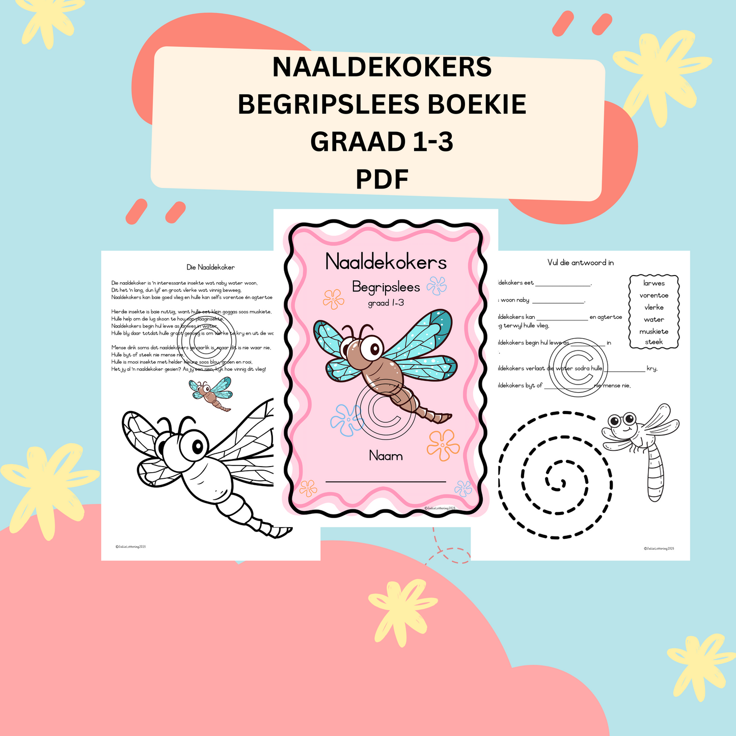Begripslees: Naaldekoker – Graad 1–3 – Afrikaans (Drukbare PDF)
