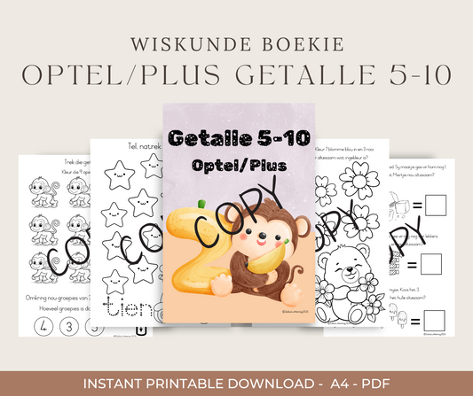 Graad R Getalle 5–10 Werkboek (Afrikaans) | Printbare PDF – 2025