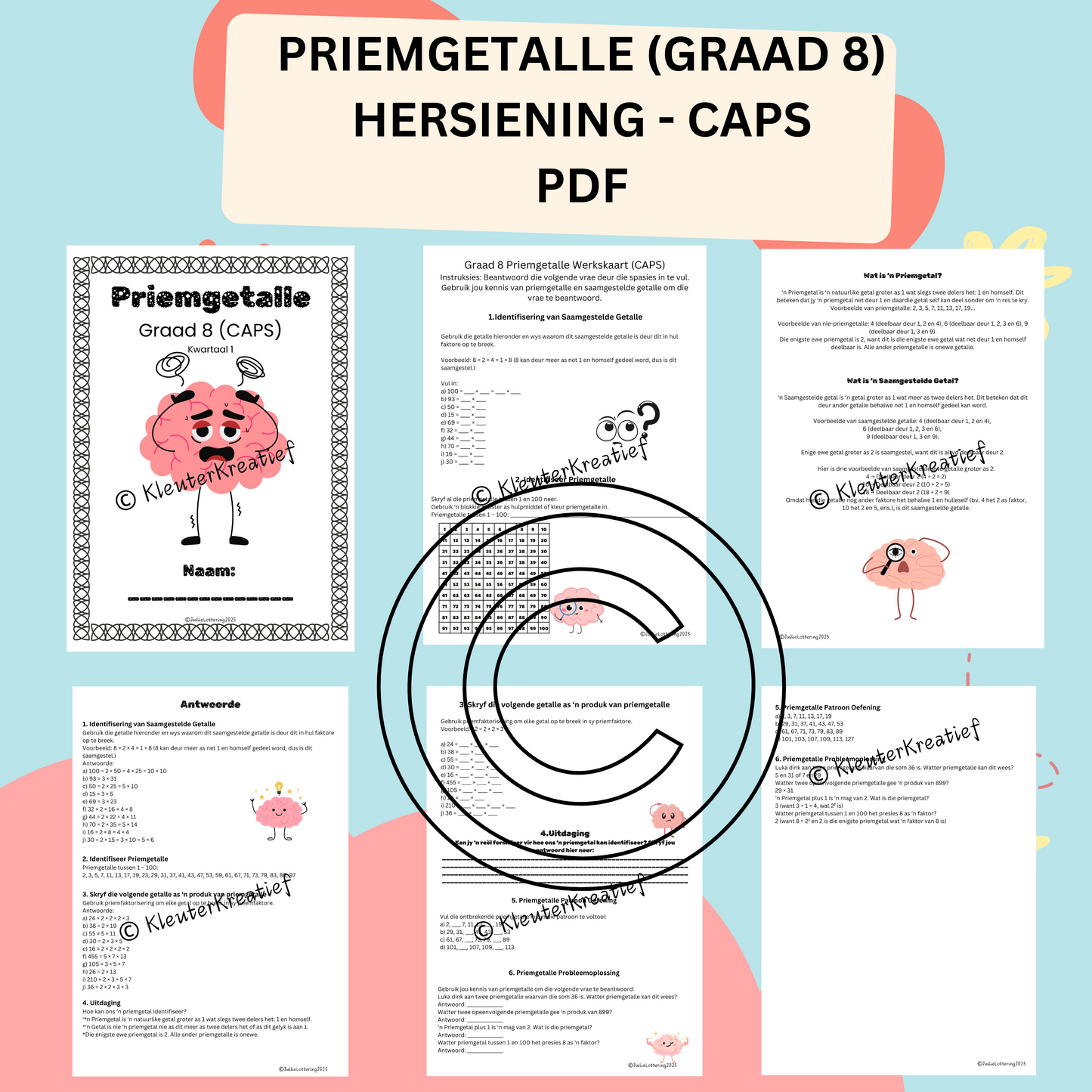 Priemgetalle - Graad 8 CAPS